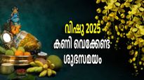 Vishu 2025: ഈ വര്‍ഷം വിഷുക്കണി ഒരുക്കേണ്ട ശുഭസമയം, ആദ്യം ആരെ കണി കാണിക്കണം