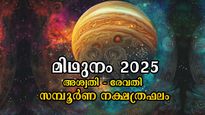 മിഥുനം 2025: ജൂണ്‍ 15 - ജൂലൈ 16, കരിയര്‍, ധനം, സമ്പാദ്യം, ജോലി, 27 നാളിനും സമ്പൂര്‍ണഫലം ഇപ്രകാരം