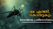 Monsoon Health Tips: കൊതുക് കടിക്ക് തുടക്കമായി, രോഗങ്ങളും കൂടെ വരും, പരിഹാരം ഇത് മാത്രം