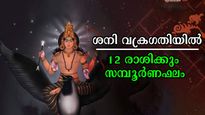 ഇനി വെറും 5 ദിവസം ശനി മീനത്തില്‍ വക്രഗതിയില്‍: വാഴുന്നവരും വീഴുന്നവരും-12 രാശിക്കും സമ്പൂര്‍ണഫലം