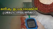പ്രമേഹം പിടി വിട്ടു പോയോ? മഗ്നീഷ്യം അടങ്ങിയ ഭക്ഷണം ശീലമാക്കണം