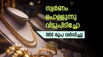 Gold Rate Today In Kerala At Rs 92600 For One Pavan, 1800 Increases; Gram Price At 11575 | സ്വര്‍ണം ഞെട്ടിച്ചു; ഇന്ന് വന്‍ കുതിപ്പ്, സ്വര്‍ണവില 1800 രൂപ ഉയര്‍ന്നു, ഇന്നത്തെ പവന്‍ വില