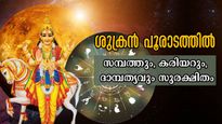ശുക്രമാറ്റം പൂരാടത്തില്‍: വര്‍ഷാവസാനം ധനമഴ പെയ്യും, കോടീശ്വര യോഗത്തില്‍ ഈ രാശിക്കാര്‍