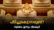 Gold Rate In Kerala Today Rises: When Buying Gold Jewells Consider These Things, Details Inside | സ്വര്‍ണം മുന്നോട്ടുതന്നെ; ഇന്നും വില വര്‍ധിച്ചു, ആഭരണത്തിന് 1.11 ലക്ഷം രൂപ, ഇന്നത്തെ ഗ്രാം വില അറിയാം