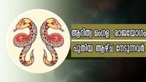 ആദിത്യ മംഗളയോഗം: ഫെബ്രുവരി 2 മുതല്‍ 8 വരെ നേട്ടങ്ങളുടെ കലവറ നിറയുന്നത് ഇവരില്‍, ആഴ്ചഫലം നിസ്സാരമല്ല