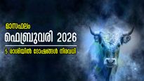 മാസഫലം ഫെബ്രുവരി 2026: നെല്ലിപ്പലകയോളം ക്ഷമിച്ചാലും ഗതിമുട്ടുന്നവര്‍, ഫെബ്രുവരിയില്‍ നട്ടംതിരിയും രാശി