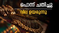 Gold Price in Kerala Rises Sharply on Today February 7 2026: Latest Rates & Market Impact | സംസ്ഥാനത്ത് സ്വർണവിലയിൽ വൻ കുതിപ്പ്, ഇന്ന് പവന് കൂടിയത് 2,120 രൂപ