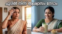 കത്തുന്ന വെയിലത്ത് തളരരുത്; ഉഷ്ണതരംഗത്തെ നേരിടാൻ വീട്ടിലുള്ള ഈ മാന്ത്രിക വഴികൾ പരീക്ഷിക്കൂ!