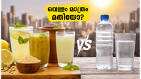 വെറും വെള്ളം കുടിച്ചാൽ മതിയോ? കടുത്ത വേനലിൽ ജീവൻ രക്ഷിക്കാൻ ഈ പാനീയങ്ങൾ നിർബന്ധം!