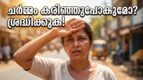 വെയിൽ കടുക്കുന്നു! ചർമ്മം കരിഞ്ഞുപോകുമോ? യുവി ഇൻഡക്സ് ഉയരുമ്പോൾ അറിയേണ്ട നിർണ്ണായക കാര്യങ്ങൾ