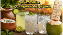 കടുത്ത ഉഷ്ണതരംഗം: ശരീരത്തെ തണുപ്പിക്കാൻ അടുക്കളയിലുള്ള ഈ അത്ഭുത പാനീയങ്ങൾ പരീക്ഷിച്ചു നോക്കൂ!