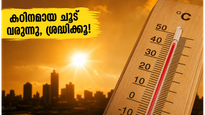 മെയ് 25 മുതൽ രോഹിണി കാർത്തി: കഠിനമായ ചൂടിൽ നിന്ന് രക്ഷനേടാൻ ഈ മുൻകരുതലുകൾ അറിഞ്ഞിരിക്കൂ!