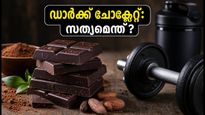 വർക്കൗട്ടിന് മുൻപ് ഡാർക്ക് ചോക്ലേറ്റ് കഴിക്കാമോ? പുരുഷന്മാർ അറിയേണ്ട ആരോഗ്യ രഹസ്യങ്ങൾ