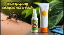 ഡെങ്കിപ്പനി ഭീഷണി: കൊതുക് നശീകരണ ക്രീമുകൾ ഉപയോഗിക്കുമ്പോൾ ഈ തെറ്റുകൾ വരുത്തരുത്