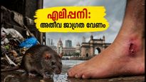 മുംബൈയിൽ എലിപ്പനി ഭീഷണി: മഴവെള്ളത്തിൽ ഇറങ്ങുമ്പോൾ ജീവൻ രക്ഷിക്കാൻ ഈ മുൻകരുതലുകൾ മറക്കരുത്