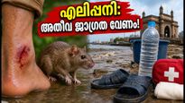 മുംബൈയിൽ എലിപ്പനി ഭീഷണി: മഴവെള്ളത്തിൽ ഇറങ്ങുമ്പോൾ ഈ മുൻകരുതലുകൾ മറക്കരുത്!