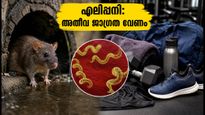 മുംബൈ റെഡ് അലർട്ട്: എലിപ്പനി തടയാൻ പുരുഷന്മാർ ഈ മുൻകരുതലുകൾ എടുക്കണം