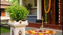 വീട്ടിൽ തുളസി വെക്കുമ്പോൾ ഈ തെറ്റുകൾ വരുത്തരുത്; ഐശ്വര്യത്തിനും ആരോഗ്യത്തിനും വാസ്തു പറയുന്ന വഴികൾ