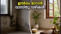 മഴക്കാലത്ത് വീട്ടിൽ ഈർപ്പവും പൂപ്പലും? പണം നഷ്ടപ്പെടാതിരിക്കാൻ ഈ വാസ്തു വഴികൾ പരീക്ഷിക്കൂ!