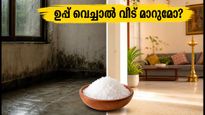 വീട്ടിലെ ദുർഗന്ധം മാറ്റാൻ 'സാൾട്ട് വാസ്തു' പരീക്ഷിക്കൂ; ഈ ചെറിയ മാറ്റം വീടിന് നൽകും വലിയ ഉന്മേഷം