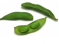 Soya Beans Soya Beans