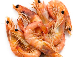 Prawn Prawn