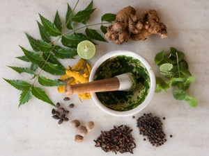 Ayurveda Herbs Ayurveda Herbs
