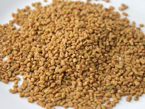 Fenugreek Seeds Fenugreek Seeds