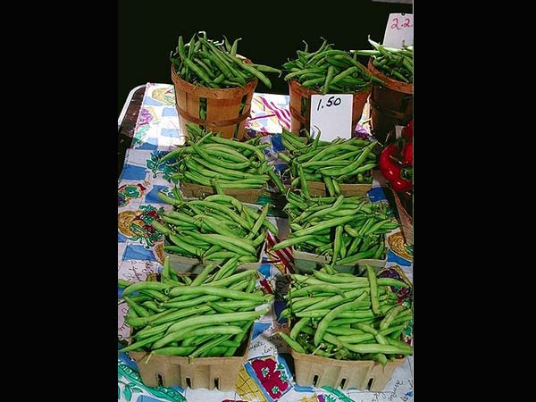 പ്രമേഹമോ, ഇവ കഴിയ്ക്കൂ പ്രമേഹമോ, ഇവ കഴിയ്ക്കൂ