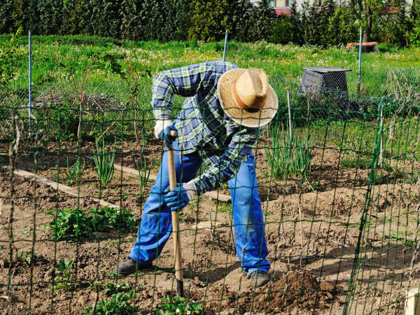 ജിം വേണ്ട, വീട്ടിലിരുന്നും മസിലുണ്ടാക്കാം