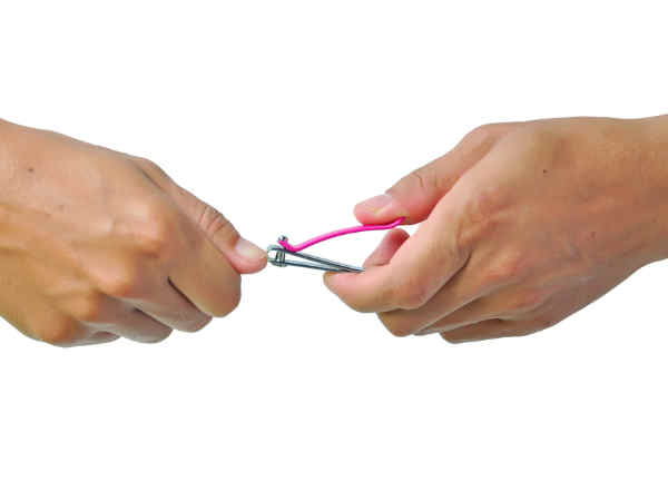 രോഗങ്ങളെ അകറ്റി നിര്‍ത്താം