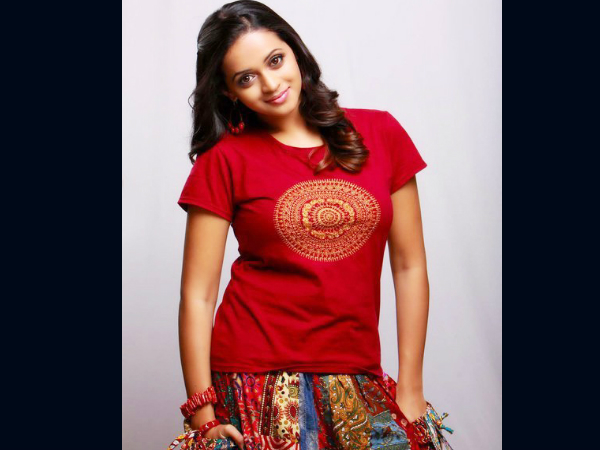 ഭാവനയുടെ ഭാവങ്ങള് ഭാവനയുടെ ഭാവങ്ങള്