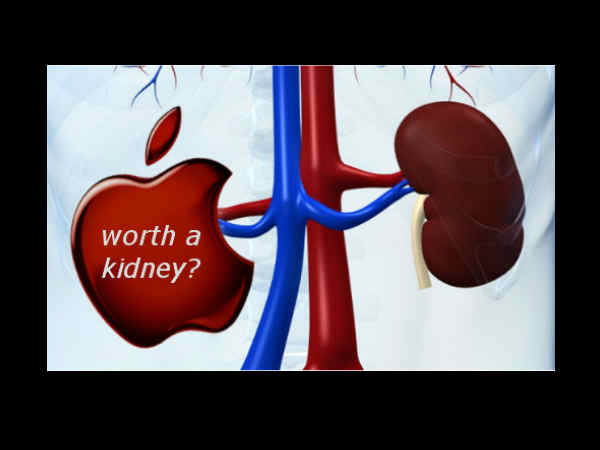 കിഡ്നി കിഡ്നി