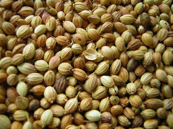 പഞ്ചസാരയും മല്ലിയും