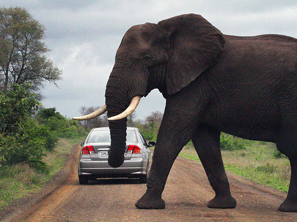 മരിക്കും മുന്‍പു ചെയ്യേണ്ട ചില കാര്യങ്ങള്‍