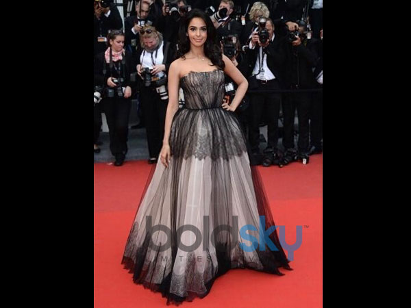 മല്ലിക ഷെരാവത്ത് 'ഹോട്ട്' വേഷങ്ങളില്‍