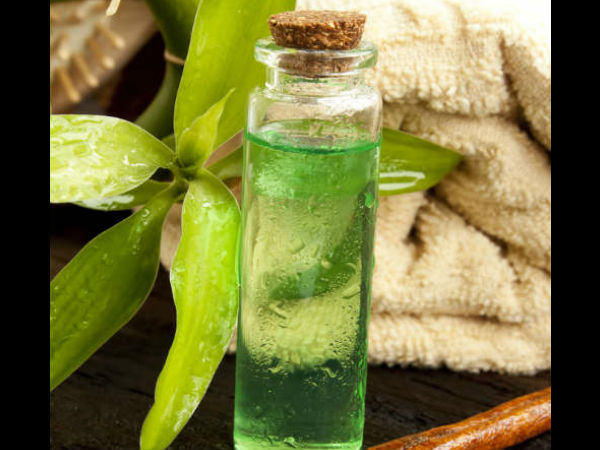 തേയില എണ്ണ 