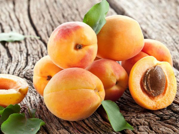 ഡേ. 7) ഡേ. 7)