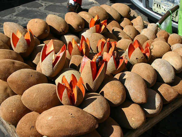 2)സപ്പോട്ട 