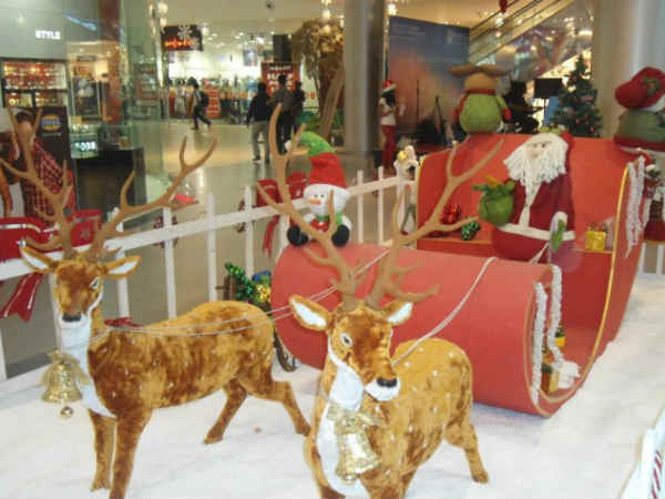 2. കോട്ടണ്‍ 