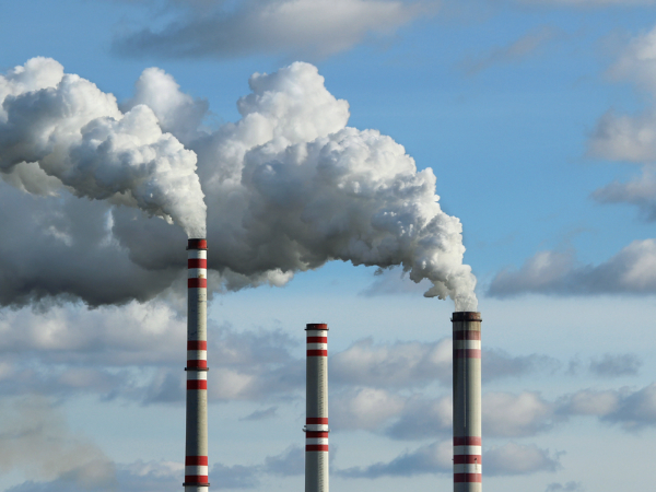 രാസവസ്തുക്കളും വിഷ വസ്തുക്കളും രാസവസ്തുക്കളും വിഷ വസ്തുക്കളും