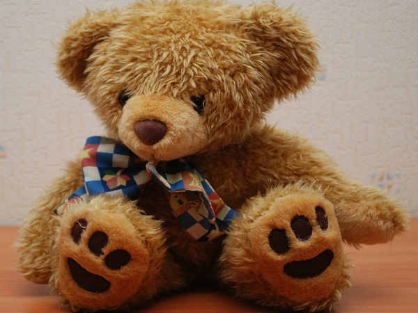 ടെഡ്ഢി ബെയര്‍