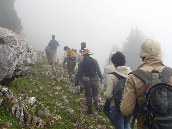 ഹൈക്കിംഗ്