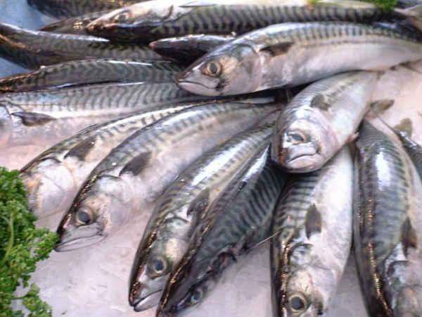 മത്സ്യം 