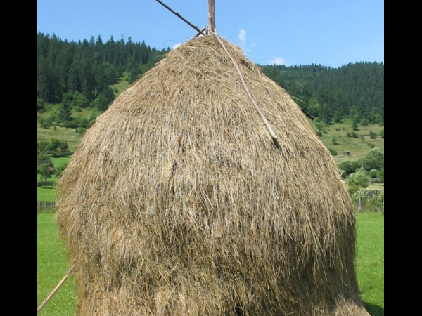 വയ്‌ക്കോല്‍ 