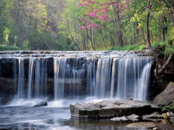 ലിവിംഗ് റൂമിലെ പെയിന്‍റിംഗുകള്‍ 
