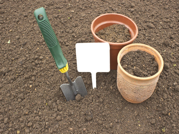 Tips To Improve Soil In Your Garden