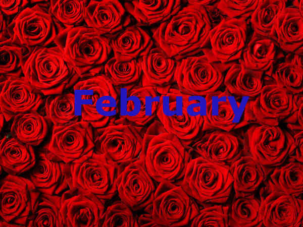 ഫെബ്രുവരി 