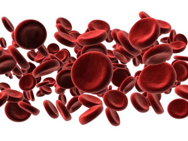 മറ്റ്‌ നിര്‍ദ്ദേശങ്ങള്‍