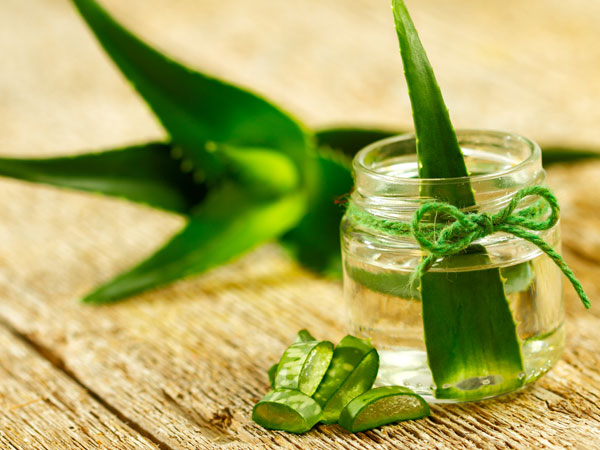 കറ്റാര്‍വാഴ 